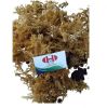 Irish Sea Moss Organic Made In Vietnam Whatsapp 84348545435