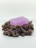  Wildcrafted Sea Moss / Dried Sea Moss Purple - Larry Vo (Whatsapp/Line/Viber/Ka