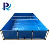 Collapsible frame fish...