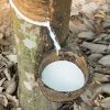 Natural Rubber Latex HA 60% DRC