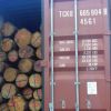 Pine round logs / pine wood / Pine wood price 