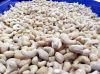CASHEW NUT KERNEL - SI...