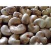 cashew nuts