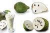 Guyabano Soursop Concentrate/Extract