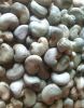 Raw Cashew Nut