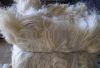 Sisal Fibre (SSUG Grad...