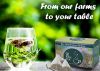 Health Organic Tea _ O...