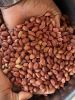 HIGH QUALITY BENIN PEA...