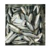 Seafoods and frozen fo...