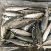 Seafoods and frozen fo...