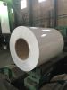 PE/PVDF Coated Aluminum Coil