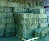 Lucerne Hay, Alfalfa Hay Bale, Clover from Sweden