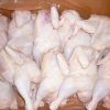 Fresh and Clean Halal Frozen Whole Chicken /Drumsticks/ Thighs/ Paws/ Feet