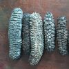 Dried Sea Cucumber Cheap High quality