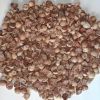 Betel Nut / Areca Nuts...