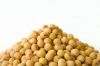 premium quality soya b...