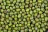 Ethiopian Green Mung B...