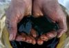 East Siberia-Pacific O...