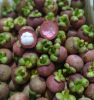 FRESH MANGOSTEENS