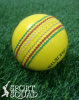 Indoor Cricket Ball