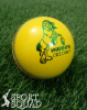 Indoor Cricket Ball