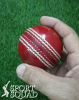 Hand Stitched Leather Cricket Ball