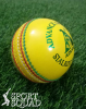 Indoor Cricket Ball