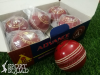 Hand Stitched Leather Cricket Ball