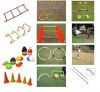 Speed & Agility Tr...