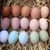 Good quality White &amp;amp; Brown Fresh Chicken Table Eggs
