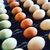 Good quality White &amp;amp; Brown Fresh Chicken Table Eggs