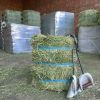Fescue Grass Straw