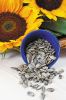 Black Sunflower Seeds High Quality Seeds for Sale From Manufacturer Sunflower Seeds Wholesale 