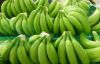 Fresh Cavendish Banana...