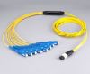 MPO Fan Out Patchcord