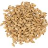 Premium High Quality Barley Grain