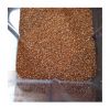 Quality Hot Rich Selling Bulk Organic Dried Teff Grain