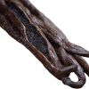 Vanilla Beans Planifolia