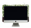 Double Monitree - Office plants decor, Indoor plants