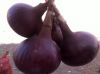 Red Onions - Premium E...