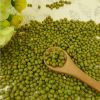 New Crop Mung Bean Seed Nice Price Green Mung Bean Vigna Beans