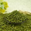 New Crop Mung Bean Seed Nice Price Green Mung Bean Vigna Beans