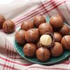 Wholesale Macadamia nuts in shell, the best quality macadamia nuts, food and snacks