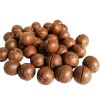 Wholesale Macadamia nuts in shell, the best quality macadamia nuts, food and snacks