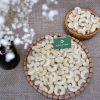 Cashew Nuts High Quality Cheap Price Raw Cashew Nuts W320