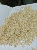 Cashew Nuts High Quality Cheap Price Raw Cashew Nuts W320