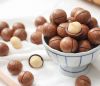 Wholesale Macadamia nuts in shell, the best quality macadamia nuts, food and snacks
