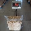 Cashew Nuts High Quality Cheap Price Raw Cashew Nuts W320