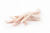 Best Sale Frozen Chicken Paws / Wholesale Price Frozen Chicken Feet / Frozen Whole Chicken for Human Consumption
