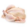 Halal Certified Frozen Chicken Frozen Whole Turkeys and Turkeys Parts for Sale